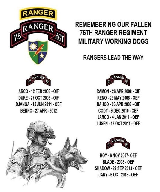 rangers military logo