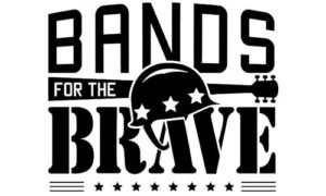 Bands for the Brave VIII - Hooah Inc